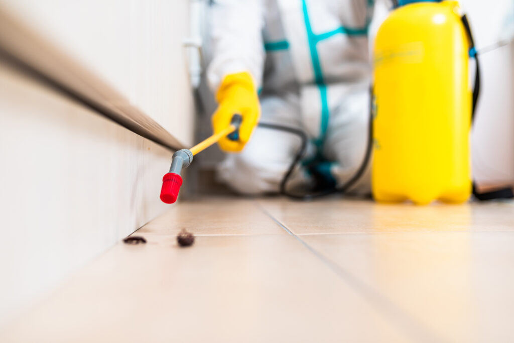 Broadview Heights Cockroach Experts