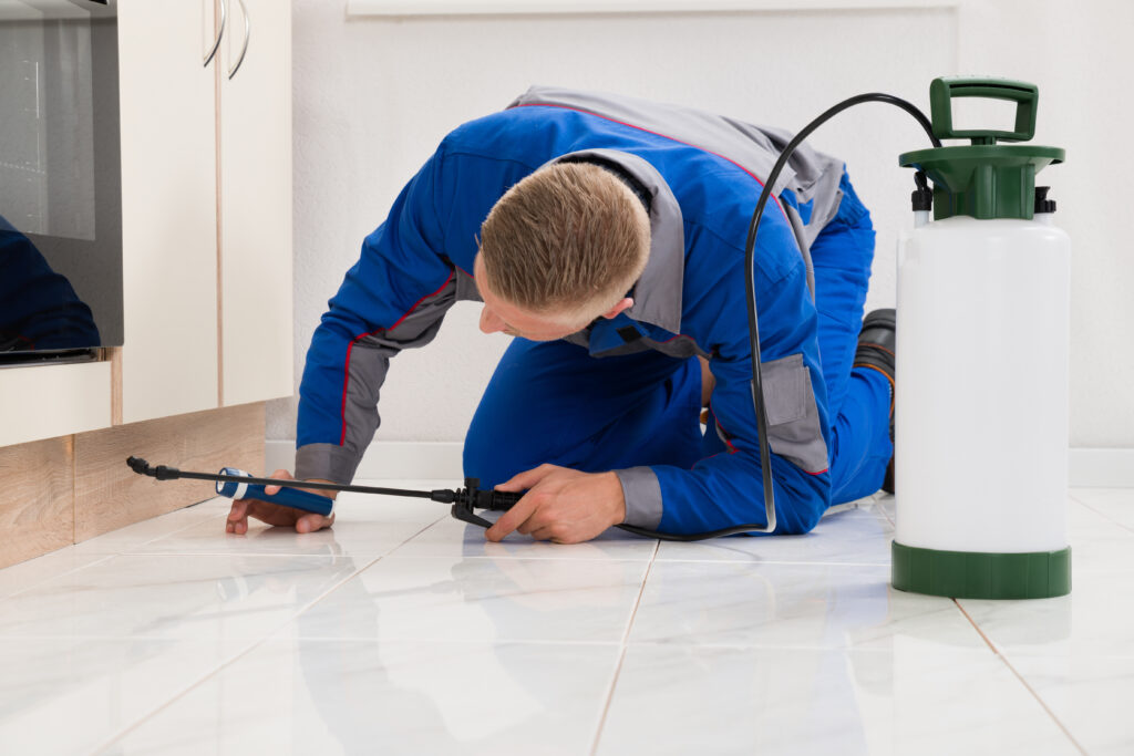Broadview Heights Ant Control Xperts