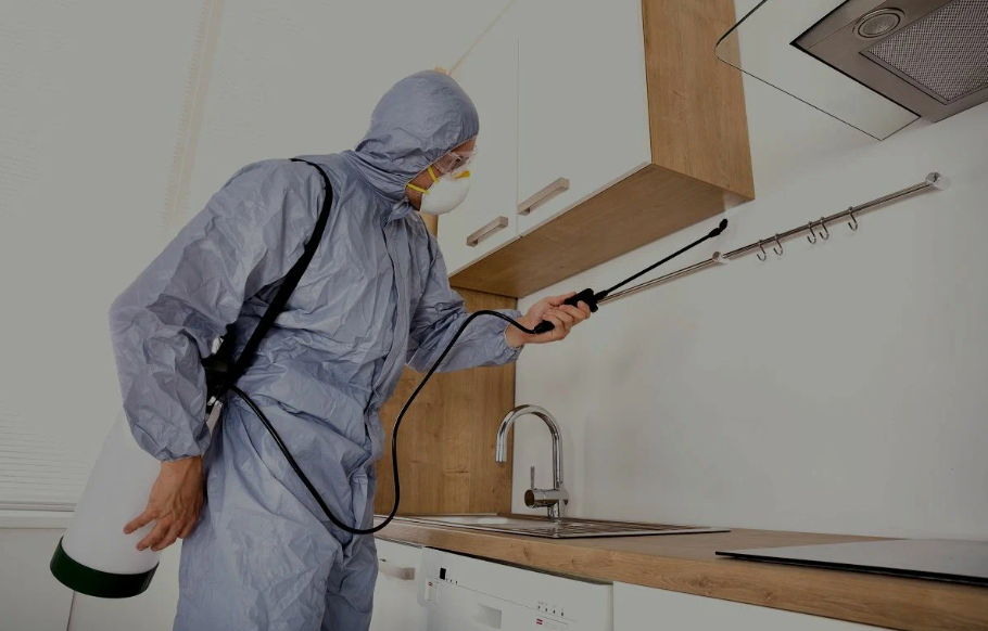Broadview Heights pest managment